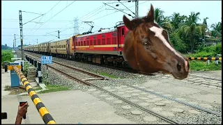 Viral Dangerous MAD HORSE Intercity Express Furious Moving Throughout at Railgate