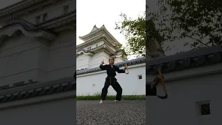 Kobudo Kama Training | Ryukyu Kobudo #shorts #castle