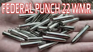 22 MAGNUM FOR SELF DEFENSE - FEDERAL PUNCH 22 WMR