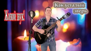 Вячеслав Малежик, исп. Владимир Need Soul Кузьмин - Как усталый зверь (cover version)