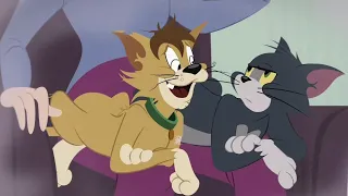 Tom and Jerry Show S 01 E 19 A - HERE'S LOOKIN' A-CHOO, KID @LOOcaa