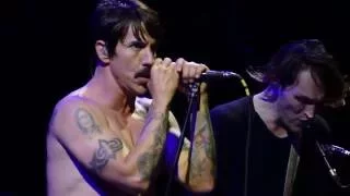 Red Hot Chili Peppers - Californication - Lollapalooza 2016 Chicago