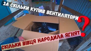 ❗ Вівця несподівано народила ягня🐑 Купив та розпаковую вентилятори та інше обладнання♻️