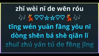 Ting Wen Yuan Fang You Ni female karaoke