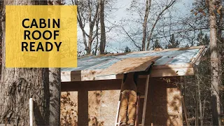 Sheathing the Roof - Cabin Build Ep.10