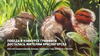 КРТВ. Победа в конкурсе граффити досталась жителям Красногорска