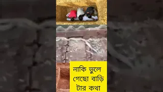 এটা কার বাড়ি কে বলতে পারবে 🤔🤔🧐🧐