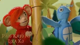 Daig Kayo ng Lola Ko: The story of the greedy monkey and the witty turtle (full episode)