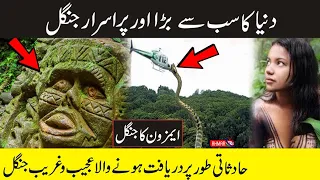 AMAZON JUNGLE | Documentary of Amazon Forest in Urdu/Hindi | Animals of Amazon Forest