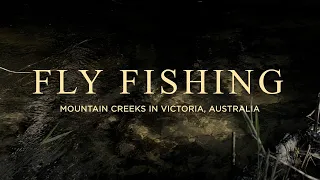 Fly Fishing little mountain creeks for Brown Trout | Victoria, Australia