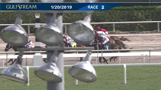 Gulfstream Park Carrera 2 - 20 de Enero 2019