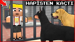 EFEKAN HAPSE GİRDİ, KÖPEK ÇETESİ HAPİSTEN KAÇIRDI! 😱 - Minecraft