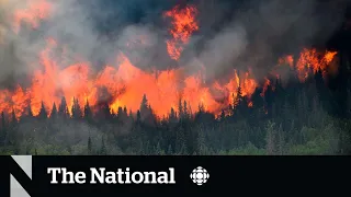 Wild theories about what's fuelling Canada’s wildfires