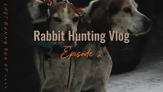 Rabbit Hunting Vlog Ep.  2 (The Last Bunny Run of 2023)