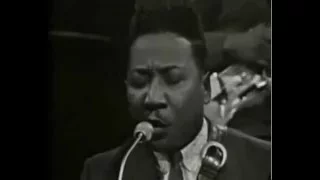 Muddy Waters & James Cotton "Got my Mojo working", 1966