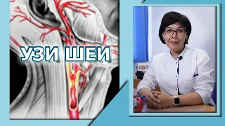 💙 КАРДИОЛОГИЯ | УЗИ БРАХИОЦЕФАЛЬНЫХ СОСУДОВ