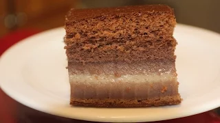 Magic Chocolate Custard Cake