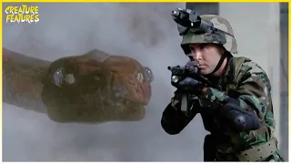 Boa vs. Python | Soldiers Escape The Boa | Creature Features