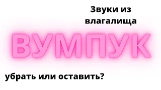 ВУМПУК или Звук из влагалища / оставить или убрать?