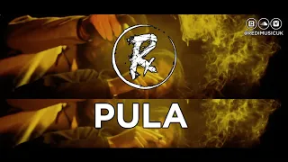 Wheezy x Lil Baby x Gunna Type Beat - Redi: "Pula" | Guitar/Flute Rap Instrumental 2020