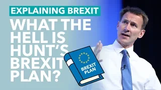 Jeremy Hunt's Brexit Plan - Brexit Explained