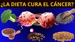 ¿UNA DIETA PUEDE CURAR EL CÁNCER?