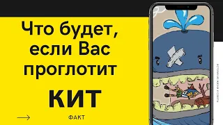 Что будет с вами если Вас проглотит кит