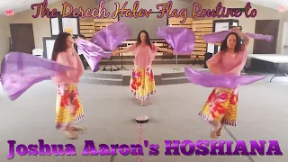 Hoshiana / Joshua Aaron / The Derech Halev Flag Routine
