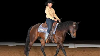 2022 AQHA World Show Champion Western Dressage Level 3 Rachel Ory & Jagalicious