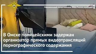 Ирина Волк: В Омске задержан организатор прямых видеотрансляций порнографического содержания