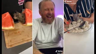 ЛУЧШЕЕ ИЗ ТИК ТОКА | THE BEST FROM TIK TOK | #95 | TIKTOK.MP4