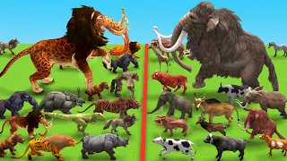 10 Giant Tiger vs 10 Black Buffalo Fight Cow Cartoon Save by Woolly Mammoth Elephant Vs Ware Wolf