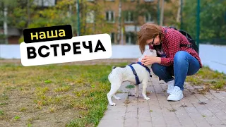 Такой реакции я не ожидала | Чарли меня не узнал?