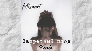 Mizant - Запретный плод (Remix)  Official Audio | 2022