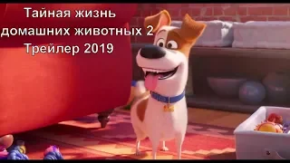 Тайная жизнь домашних животных 2 Трейлер 2019/The Secret Life of Pets 2, Trailer