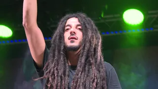 MELLOW MOOD - Sound  of a War | Rototom Sunsplash: Live from Benicàssim LP