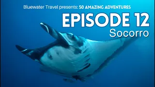 🐠 Exciting encounters with large marine animals!