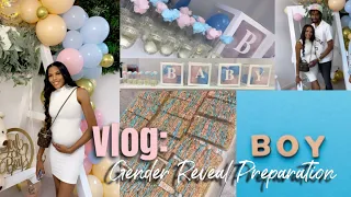 Vlog: Gender Reveal Preparation| DIY's| Party planning| Shopping & More| Tehlor Cee
