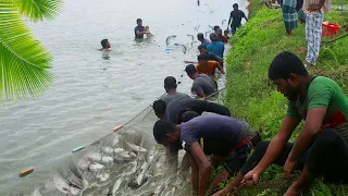 Longest Personal Lake Net Fishing | Top 2 Pro Fisherman Fishing | Tons of Big Fish | Part 02
