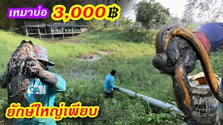 เหมาบ่อ 3,000บาท บ่อส่งท้ายปี ยักษ์ใหญ่เพียบเลยจ้า | Ep.132