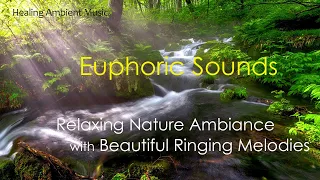 1 hour - Relaxing Nature Ambiance with Beautiful Ringing Melodies