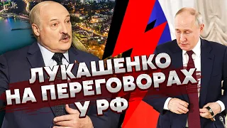 💥Прямо зараз! ЛУКАШЕНКО ПРИЛЕТІВ У СОЧІ на розбірки з Путіним. Будуть ділити бійців Пригожина