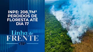 Desmatamento na Amazônia bate recorde em fevereiro desde início da série histórica | LINHA DE FRENTE