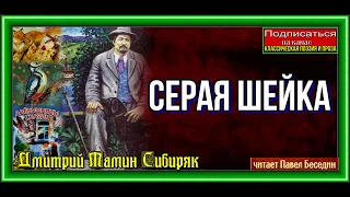 Серая шейка  —Дмитрий Мамин— Сибиряк — читает Павел Беседин