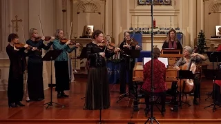Vivaldi: Winter (the Four Seasons), Largo; Cynthia Freivogel & Voices of Music RV 297 4K UHD