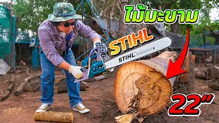 บาร์เลื่อยโซ่ STIHL 22 นิ้ว ใส่กับเลื่อยโซ่กระทิงดำรุ่น 6000 ตัดไม้มะขามไหวไหม | รีวิวสัมปะปิ