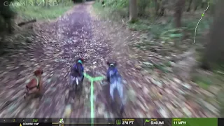 20181014 Lottie, Lexi and Hulk - the Three Amigos