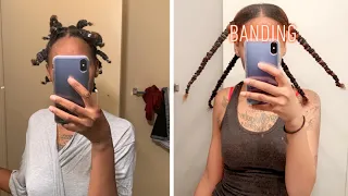 HOW I GREW MY HAIR 12+ INCHES IN ONE YEAR