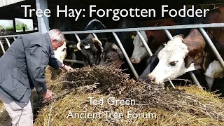 Tree Hay: A forgotten fodder (full version)
