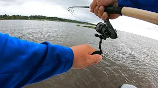 Fishing using Live Shrimp on a popping cork!